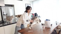 Bagian dalam tempat tinggal Lisa penuh didominasi warna putih dengan aksen hitam/abu-abu dan furnitur kayu. (Foto: dok. YouTube Lilifilm Official) 