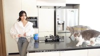 Dapur pun jadi tempat main-main kucing peliharaannya. (Foto: dok. YouTube Lilifilm Official) 
