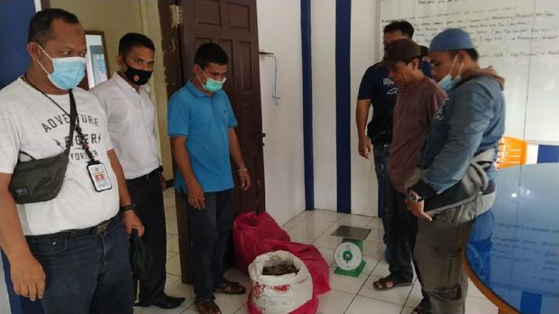 Bareskrim tangkap dua penjual sisik trenggiling dan paruh rangkong di Sumbar (dok Polri)