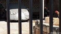 Selain membangun garasi, beberapa rumah warga juga kini memiliki pagar tembok, yang dikombinasikan dengan besi atau teralis. (Ainur Rofiq/detikcom)