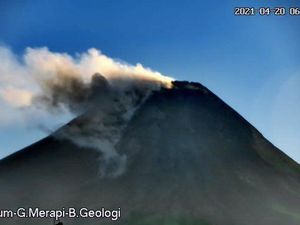 Gunung Merapi Erupsi, Luncurkan Awan Panas Sejauh 1,7 Km