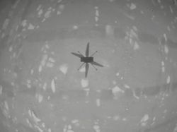 Momen Bersejarah Pertama Kali Helikopter Terbang di Mars