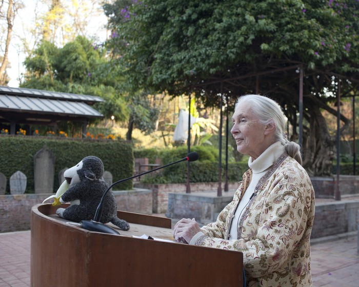 Kathmandu, Nepal - November 22, 2012: Dr. Jane Goodall speaks at a conference in Patan Darbar Square.