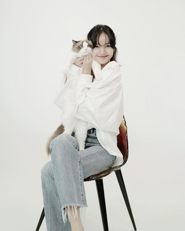 Lily merupakan anak perempuan dari hasil perkawinan Luca dan kucing Jennie BLACKPINK, Jennie the Cat. Ia memiliki saudara kembar laki-laki bernama Mingus. Foto: dok. Instagram lalalalisa_m