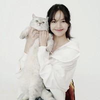 Kucing gemas berjenis british shorthair ini dinamai Louis. Ia resmi kucing keempat Lisa BLACKPINK yang dikenalkan lewat siaran langsung VLIVE. Foto: dok. Instagram lalalalisa_m