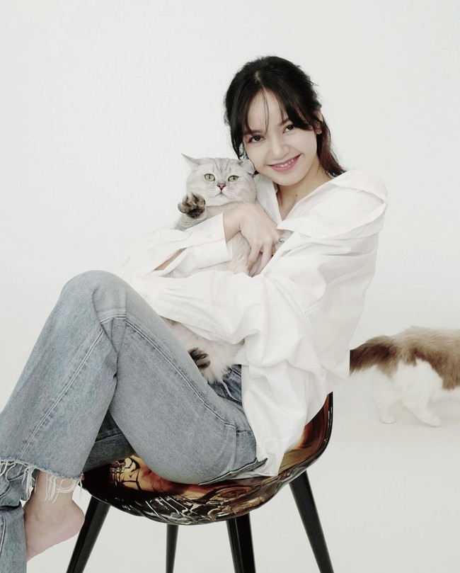 Louis terlihat stand out di antara kelima kucing Lisa BLACKPINK. Ia memiliki tubuh gempal dan bulu sedang berwarna abu-abu. Foto: dok. Instagram lalalalisa_m