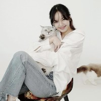 Louis terlihat stand out di antara kelima kucing Lisa BLACKPINK. Ia memiliki tubuh gempal dan bulu sedang berwarna abu-abu. Foto: dok. Instagram lalalalisa_m