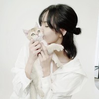 Seperti Louis, Lego tampaknya berjenis british shorthair. Ia memiliki bulu berwarna emas yang diimpikan Lisa BLACKPINK dan terlihat sedikit tegang saat pemotretan. Foto: dok. Instagram lalalalisa_m