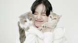 Foto 10 Artis Korea Pelihara Kucing, Lisa BLACKPINK Gemas Punya 7 Anak Bulu