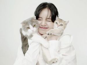 Deretan Selebriti yang Jadi Pencinta Kucing