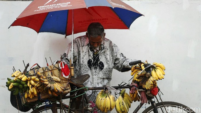 Meski Usai Lanjut, Kakek Ini Tetap Semangat Berjualan Pisang Semangat seorang kakek di Bekasi ini patut dicontoh. Dia tetap semangat berjulan pisang dengan menggunakan sepeda ontel.