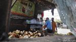 Berkah Pedagang Kelapa Muda di Bulan Ramadhan