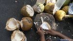 Berkah Pedagang Kelapa Muda di Bulan Ramadhan