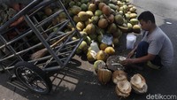 Momen tersebut menjadi keberkahan tersendiri bagi para pedagang kelapa muda.