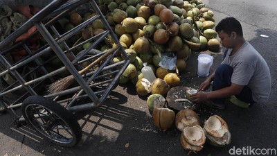 Berkah Pedagang Kelapa Muda di Bulan Ramadhan