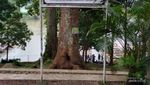 Candi Cangkuang, Jejak Agama Hindu di Garut