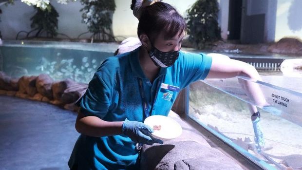 Jakarta Aquarium Para wanita di balik Jakarta Aquarium.