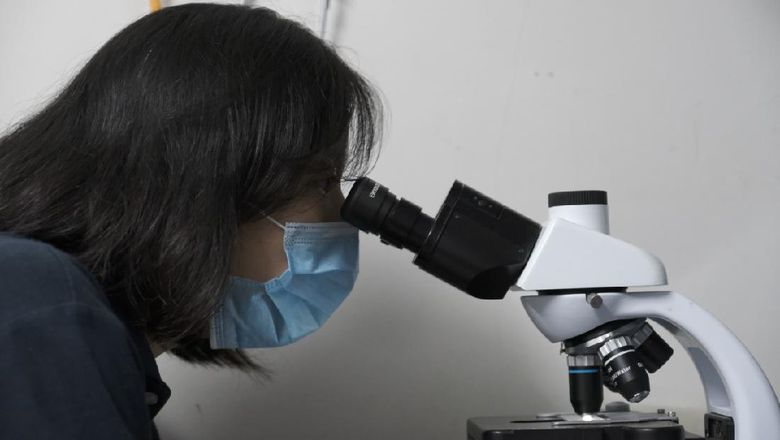Jakarta Aquarium Para wanita di balik Jakarta Aquarium.