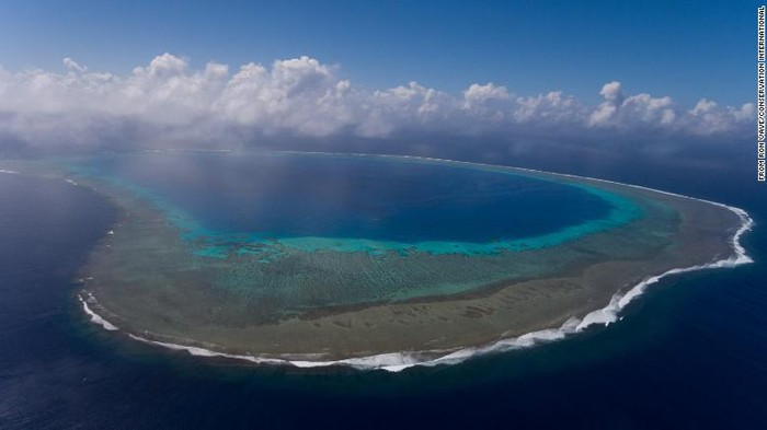 Konservasi laut Blue Nature Alliance