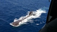KRI Nanggala-402 hilang kontak sejak Rabu (21/4/2021) pukul 03.00 WIB. Kala itu KRI Nanggala-402 sedang mengikuti latihan penembakan rudal dan torpedo. Ada 53 orang yang berada di kapal selam tersebut. ANTARA FOTO/Eric Ireng