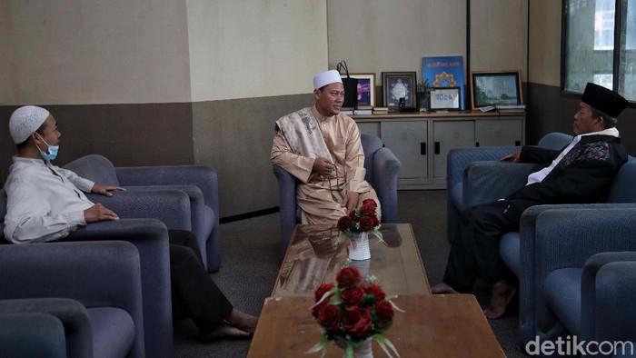 Juda osib chiqqan tukli mushuklar