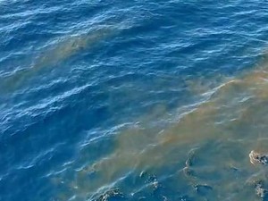 Video Tumpahan Minyak di Lokasi Awal KRI Nanggala-402 Menyelam