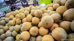 Penjualan Melon Meningkat Selama Ramadhan