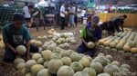 Penjualan Melon Meningkat Selama Ramadhan