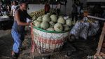 Penjualan Melon Meningkat Selama Ramadhan