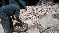 Mereka diupah dari hasil memecah batu itu Rp 60 ribu perkubik.