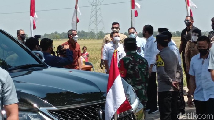 Presiden Jokowi saat meninjau panen raya di Kabupaten Indramayu