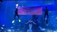 Jakarta Aquarium Safari menggelar pertunjukkan mermaid beserta tulisan Selamat Hari Kartini dalam rangka memperingati hari lahir RA Kartini yang rutin diperingati setiap tanggal 21 April.