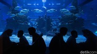 Guna mencegah penyebaran virus Corona, sejumlah protokol kesehatan pun diterapkan tak hanya bagi pengunjung tetapi juga para petugas yang beraktivitas di tempat wisata tersebut.