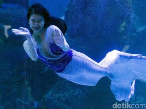 Putri Duyung Sebenarnya Ada di Dunia Nyata