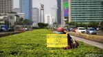 Peringati Hari Bumi Aktivis Ini Joget di Tengah Jalan