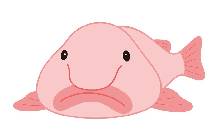 Blobfish