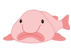 13 Fakta Blobfish Hewan Terjelek di Dunia dan Amat Misterius