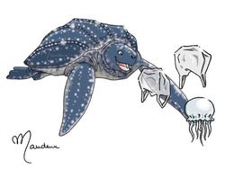 Karikatur Sindiran Wajah Bumi Saat Ini