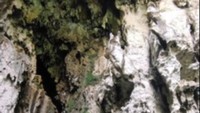 Lokasi foto yang  Instagramable