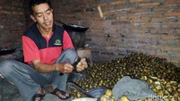 Dusun yang berada di perbukitan Menoreh tersebut dari 25 KK, sekitar 11 KK mengolah kolang-kaling.