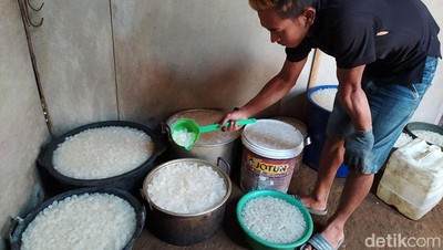 Melihat Pengolahan Kolang-kaling di Magelang
