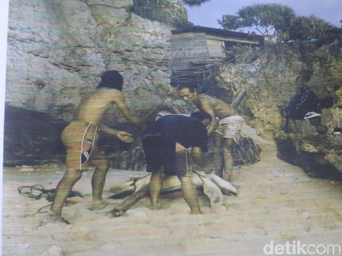Tangkap dan bunuh penyu di Pantai Gunungkidul, 7 nelayan ditangkap polisi, Kamis (22/4/2021).