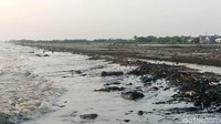 Tumpahan minyak itu menimbulkan bau yang menyengat.