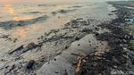 Miris Tumpahan Minyak Cemari Pantai di Karawang