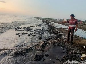Miris Tumpahan Minyak Cemari Pantai di Karawang