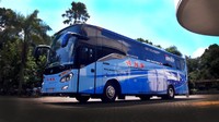 Kedua bus PO ANS ini memakai bodi Morodadi Prima tipe Patriot. Bodi ini memiliki desain yang elegan. (Dok. Morodadi Prima)