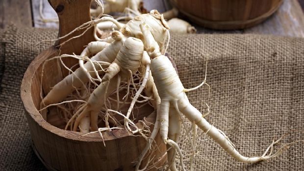 Fresh Ginseng
