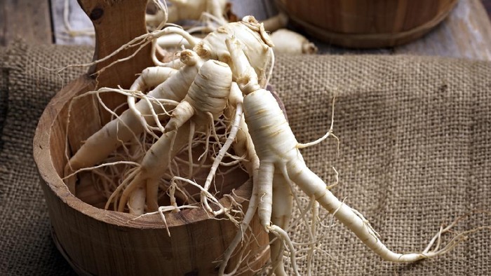 Gingseng Fresh Ginseng