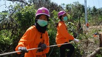 Akibat curah hujan selama tiga hari yang mengikuti badai Seroja, dua menara Saluran Udara Tegangan Tinggi (SUTT) bertegangan 70 kilo Volt (kV) patah dan roboh. Kerusakan tower transmisi berdampak pada padamnya sistem kelistrikan di empat kabupaten, yaitu Kabupaten Kupang, Timor Tengah Selatan, Timor Tengah Utara, dan Belu. Untuk mengatasinya, PLN membangun menara darurat setinggi 61 meter. Dari estimasi waktu perbaikan selama 1 bulan, ternyata proses perbaikan dapat dilakukan dalam waktu 10 hari saja. Di saat itu lah Rosalia dan Putri ikut serta mendirikan menara darurat itu.