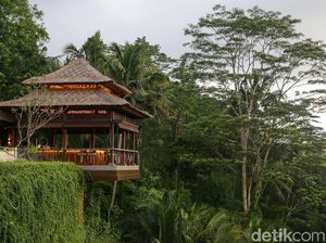 10 Kota Terbaik di Dunia 2021, Indonesia Kalahkan Jepang
